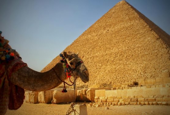 Cairo Day Trip From Hurghada